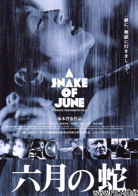 Affiche de film A Snake of June